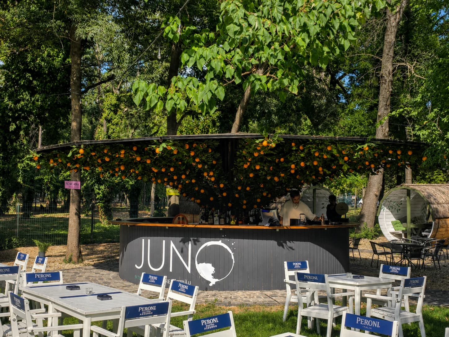 Barul JUNO și terasa din Herăstrău, decorate cu frunziș și citrice